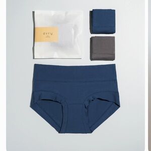 Women's Blue and Gray Panties Set (both in pack)